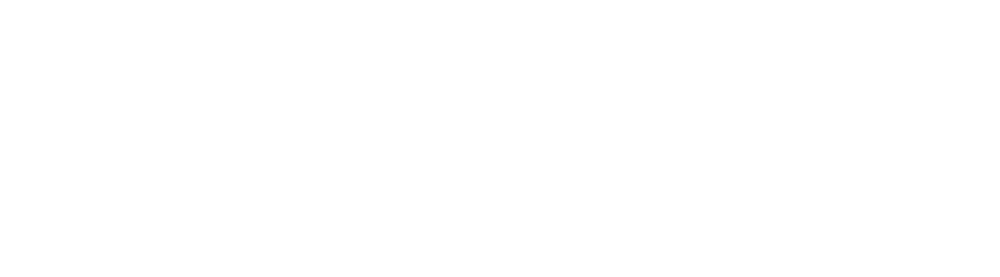 BIGGERWIDE LOGO