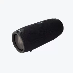Portable Speaker